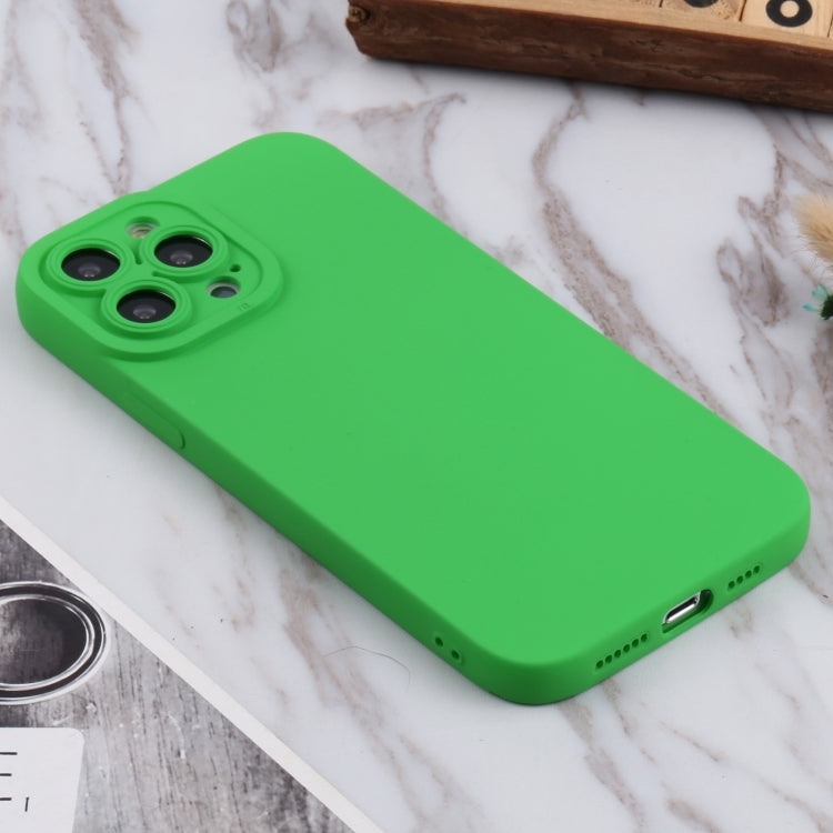 For iPhone 13 Pro Max TPU Oil-sprayed Soft Phone Case