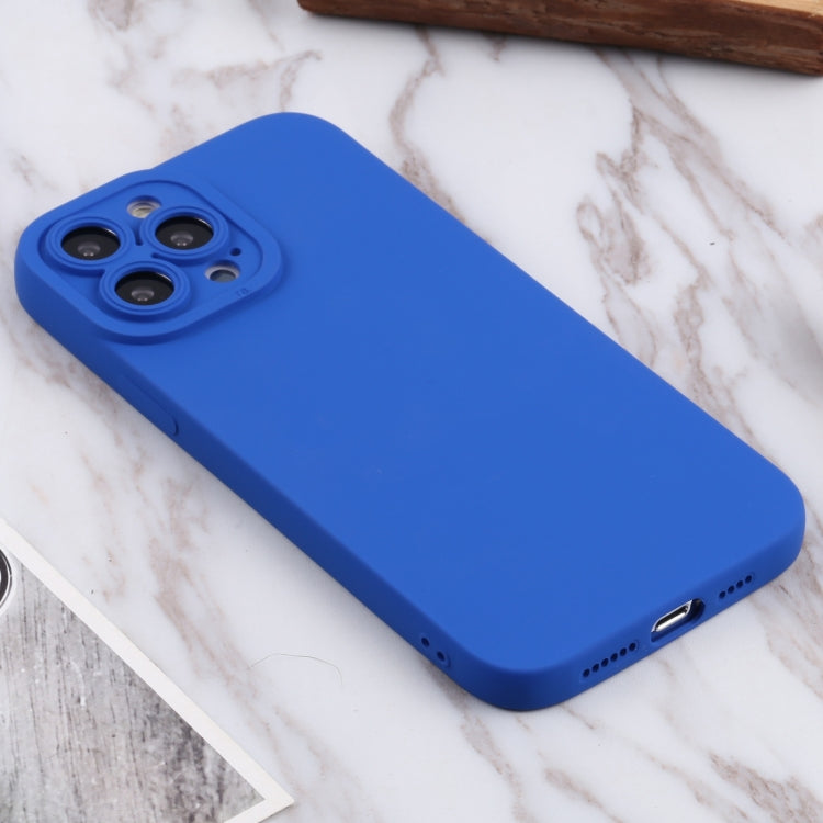 For iPhone 13 Pro Max TPU Oil-sprayed Soft Phone Case