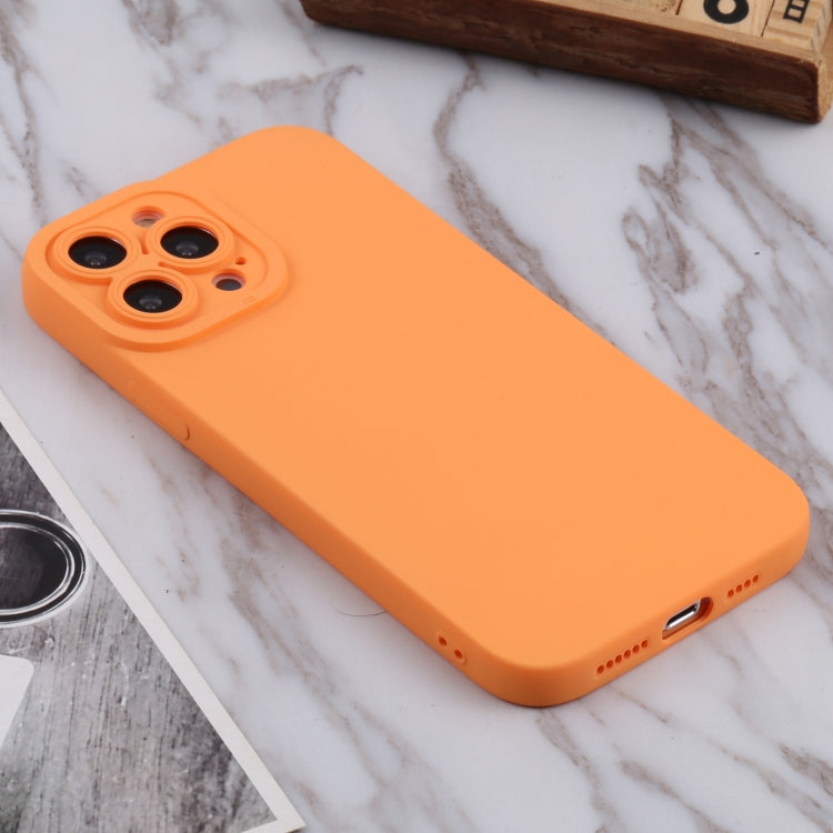 For iPhone 13 Pro Max TPU Oil-sprayed Soft Phone Case