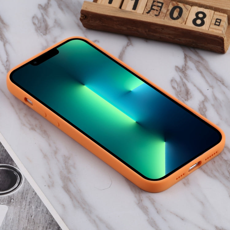 For iPhone 13 Pro Max TPU Oil-sprayed Soft Phone Case