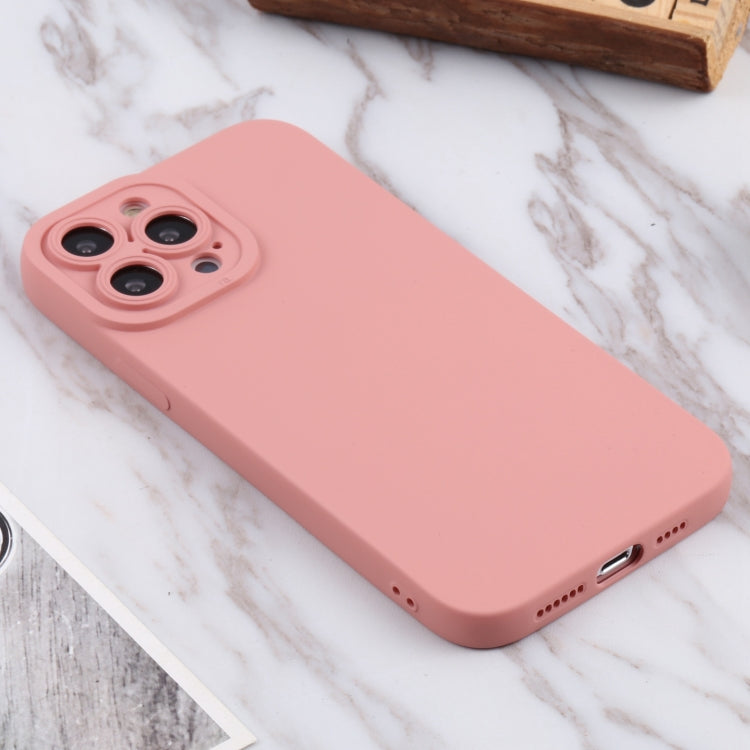 For iPhone 13 Pro Max TPU Oil-sprayed Soft Phone Case