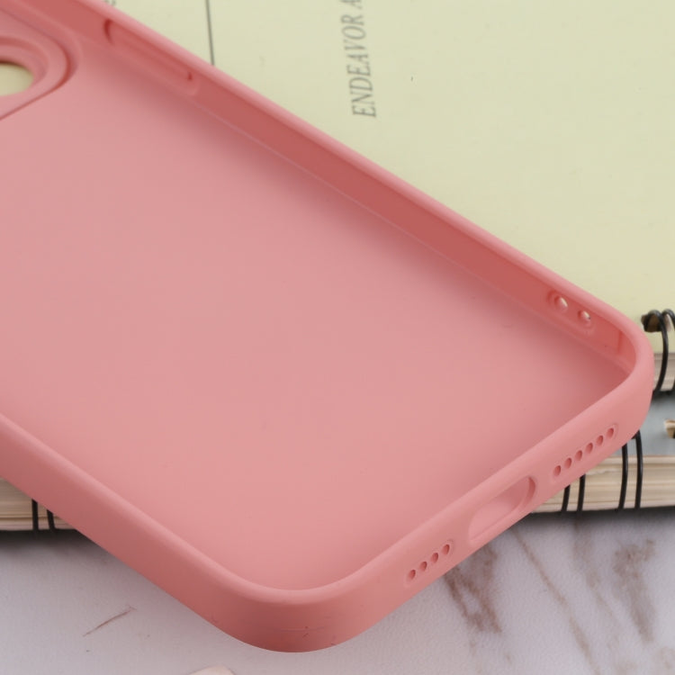 For iPhone 13 Pro Max TPU Oil-sprayed Soft Phone Case