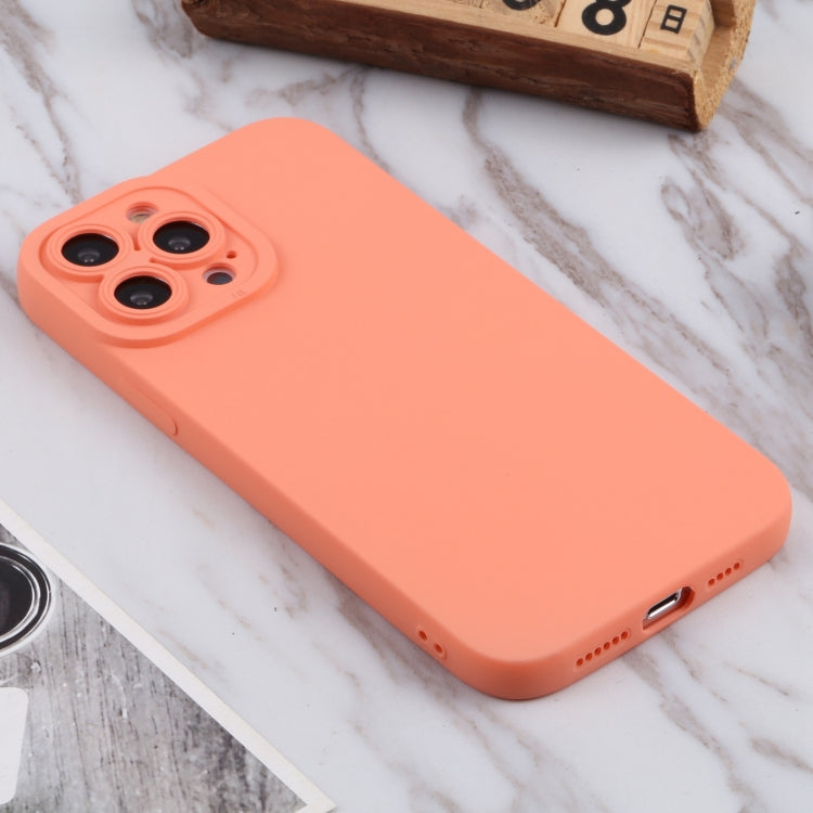 For iPhone 13 Pro Max TPU Oil-sprayed Soft Phone Case