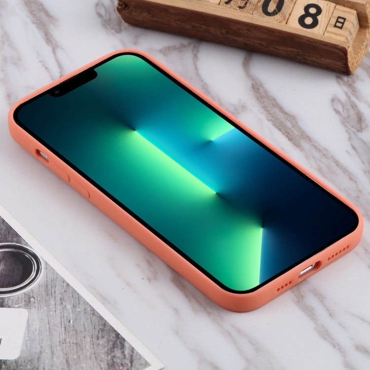 For iPhone 13 Pro Max TPU Oil-sprayed Soft Phone Case
