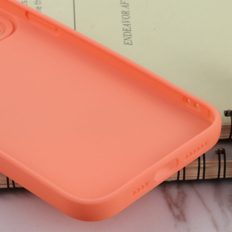 For iPhone 13 Pro Max TPU Oil-sprayed Soft Phone Case