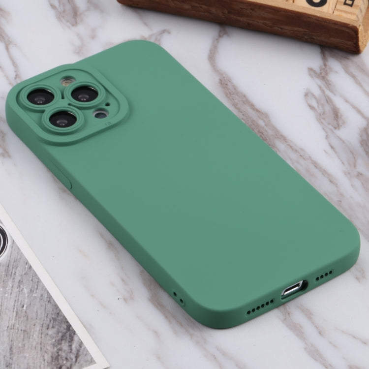 For iPhone 13 Pro Max TPU Oil-sprayed Soft Phone Case