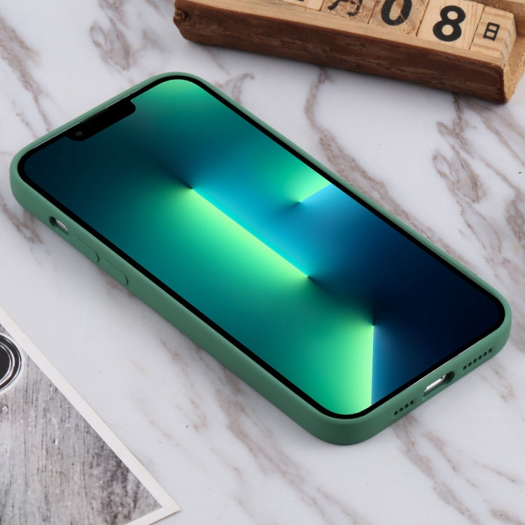 For iPhone 13 Pro Max TPU Oil-sprayed Soft Phone Case