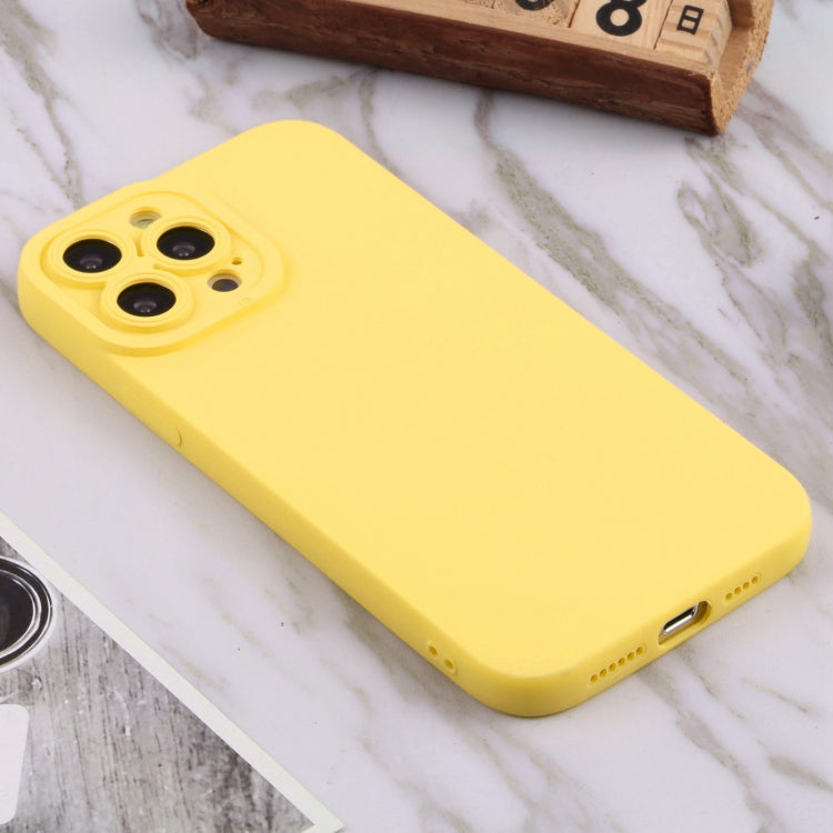 For iPhone 13 Pro Max TPU Oil-sprayed Soft Phone Case
