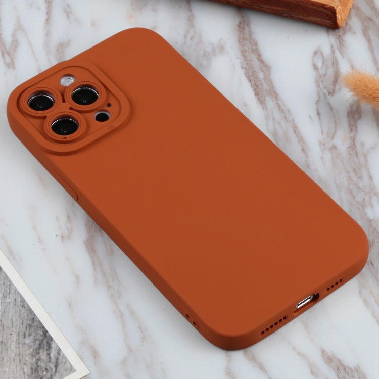 For iPhone 13 Pro Max TPU Oil-sprayed Soft Phone Case