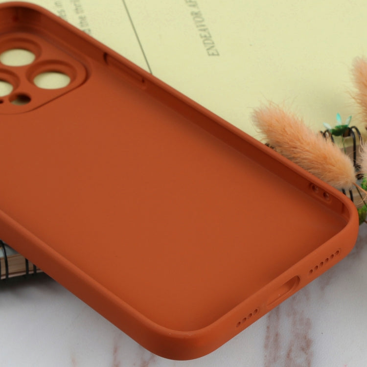 For iPhone 13 Pro Max TPU Oil-sprayed Soft Phone Case