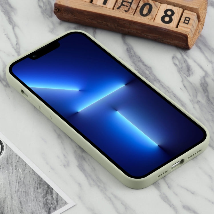 For iPhone 13 Pro Max TPU Oil-sprayed Soft Phone Case