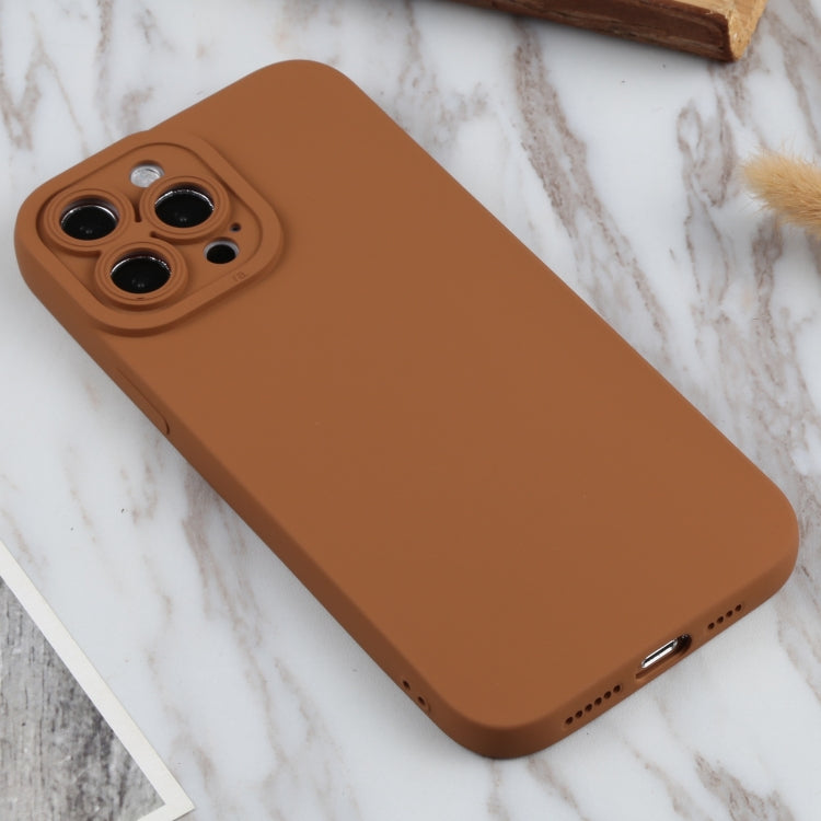 For iPhone 13 Pro TPU Oil-sprayed Soft Phone Case
