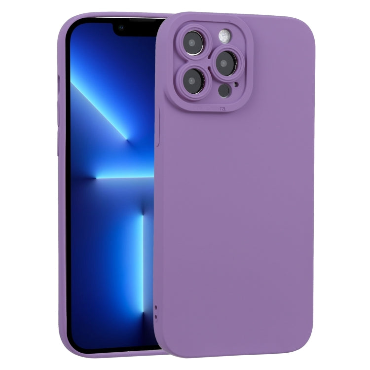 For iPhone 13 Pro TPU Oil-sprayed Soft Phone Case
