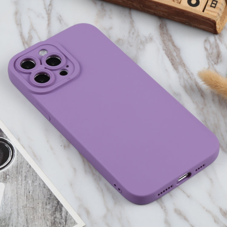 For iPhone 13 Pro TPU Oil-sprayed Soft Phone Case
