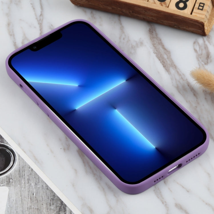 For iPhone 13 Pro TPU Oil-sprayed Soft Phone Case