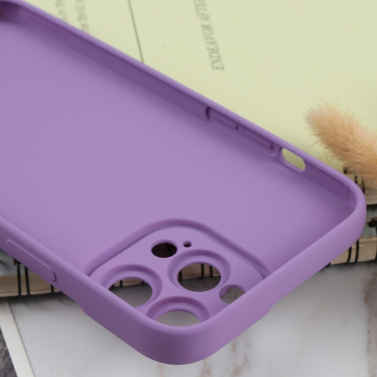 For iPhone 13 Pro TPU Oil-sprayed Soft Phone Case