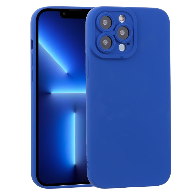 For iPhone 13 Pro TPU Oil-sprayed Soft Phone Case