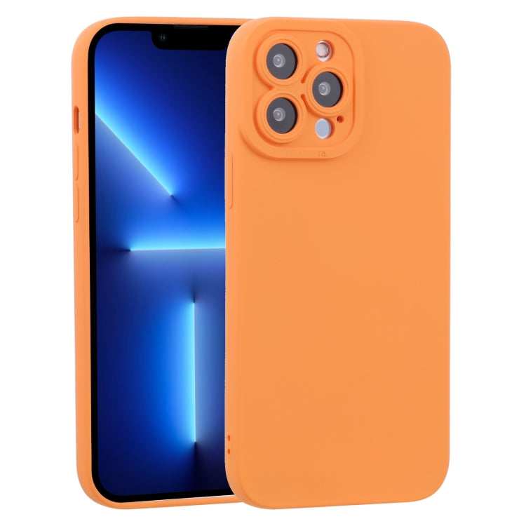 For iPhone 13 Pro TPU Oil-sprayed Soft Phone Case
