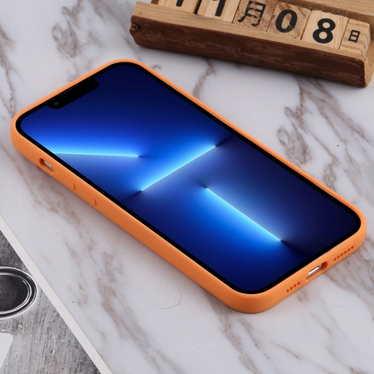 For iPhone 13 Pro TPU Oil-sprayed Soft Phone Case