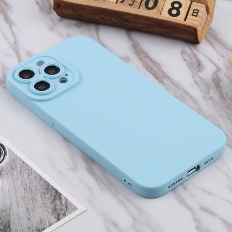 For iPhone 13 Pro TPU Oil-sprayed Soft Phone Case