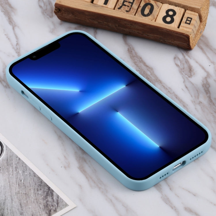 For iPhone 13 Pro TPU Oil-sprayed Soft Phone Case
