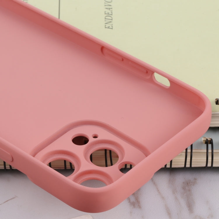 For iPhone 13 Pro TPU Oil-sprayed Soft Phone Case