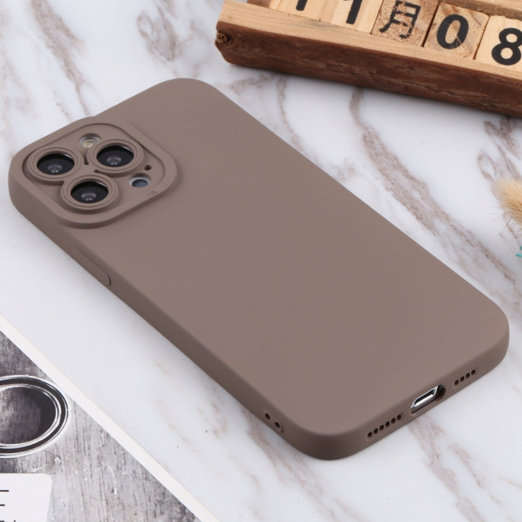 For iPhone 13 Pro TPU Oil-sprayed Soft Phone Case