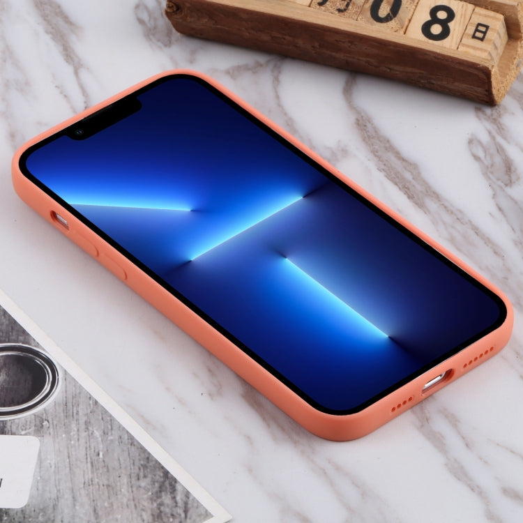 For iPhone 13 Pro TPU Oil-sprayed Soft Phone Case