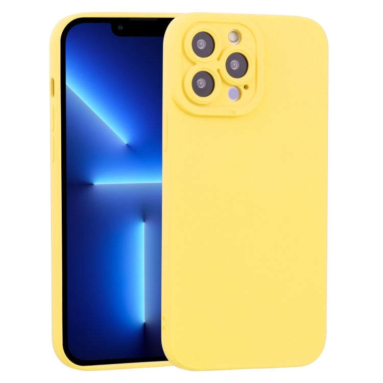 For iPhone 13 Pro TPU Oil-sprayed Soft Phone Case