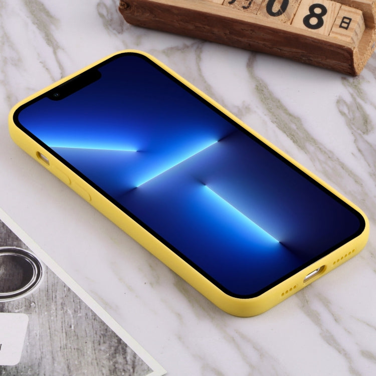 For iPhone 13 Pro TPU Oil-sprayed Soft Phone Case
