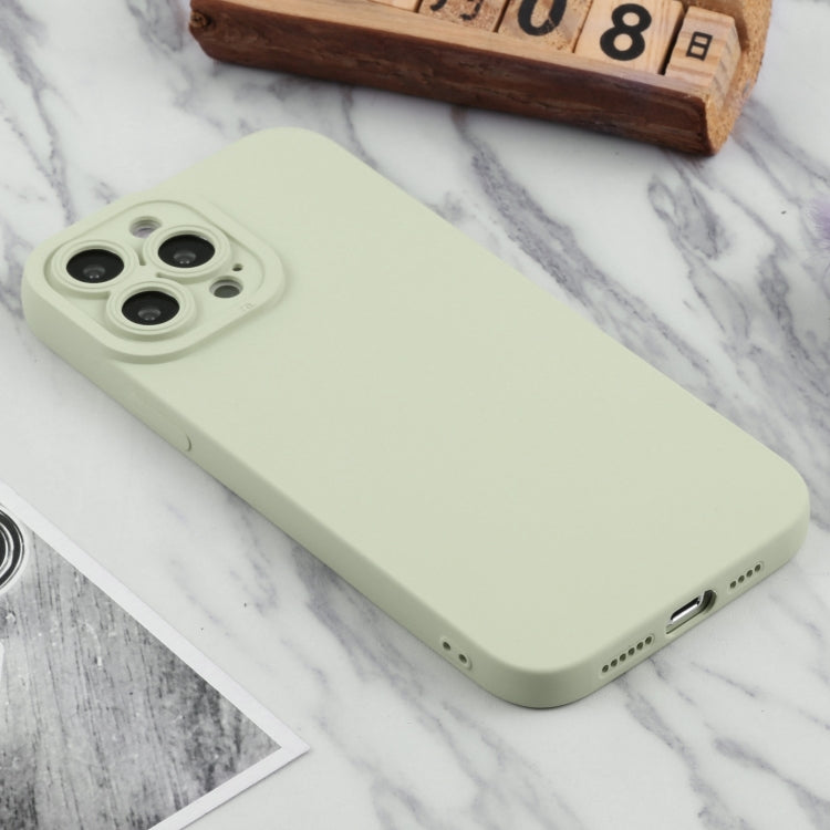 For iPhone 13 Pro TPU Oil-sprayed Soft Phone Case