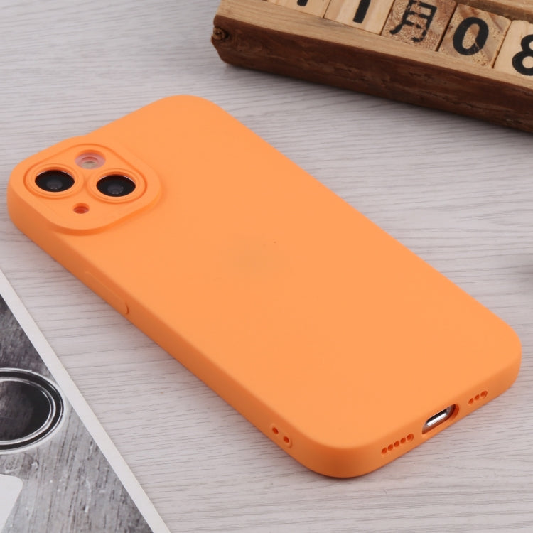For iPhone 13 TPU Oil-sprayed Soft Phone Case