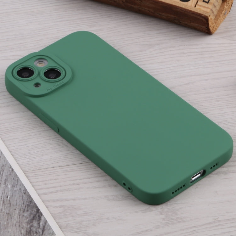 For iPhone 13 TPU Oil-sprayed Soft Phone Case