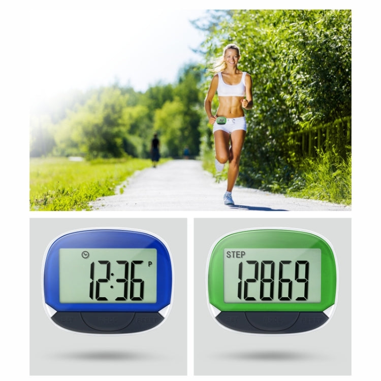 CR864 Multi-function LCD Large Screen 2D Pedometer with Back Buckle