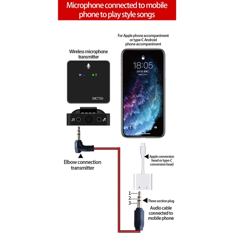 SK750 Type-C Charging One for Two Wireless Lavalier Mini Microphone(Black)