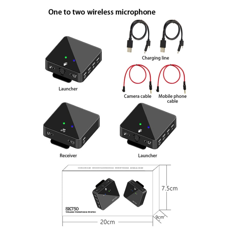 SK750 Type-C Charging One for Two Wireless Lavalier Mini Microphone(Black)
