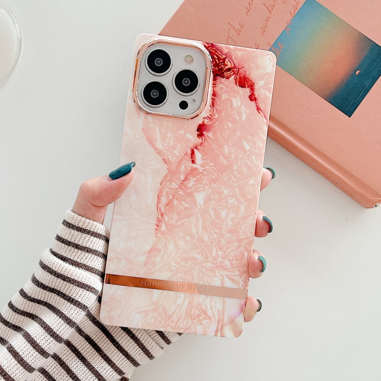 For iPhone 13 Pro Square Plating Gold Edge Phone Case