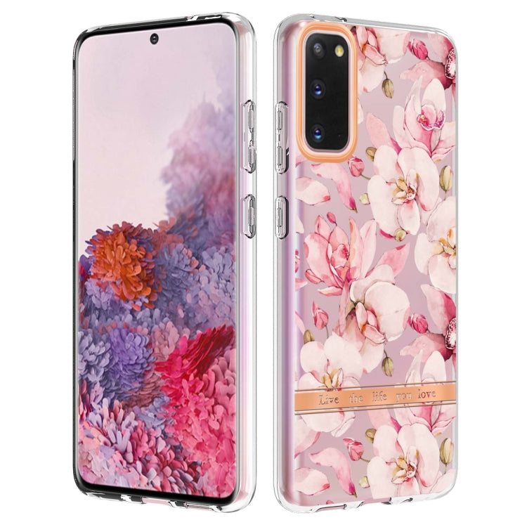 For Samsung Galaxy S20 Flowers and Plants Series IMD TPU Phone Case