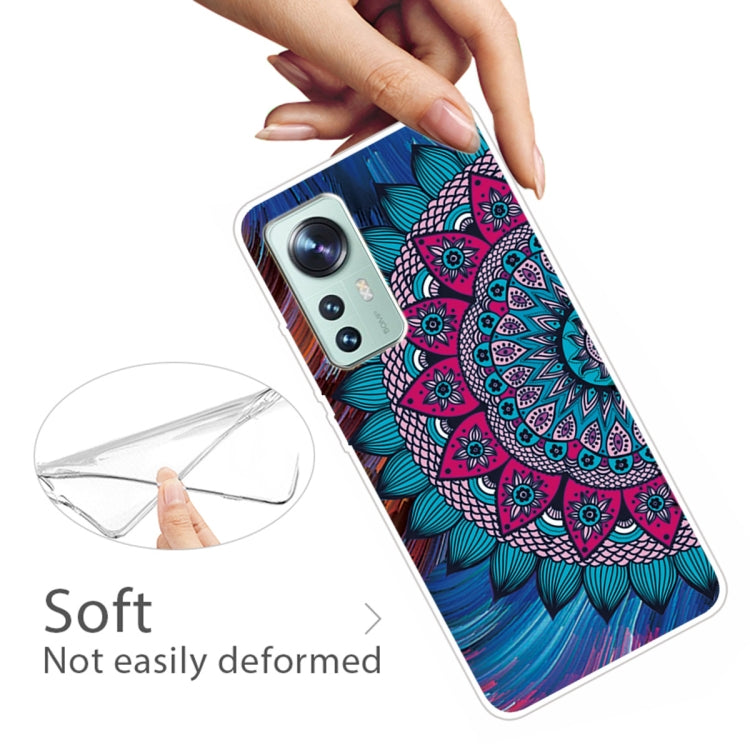 For Xiaomi 12 Pro Painted Transparent Shockproof TPU Protective Phone Case