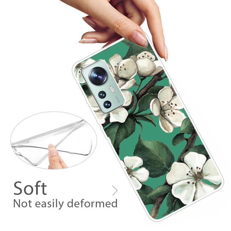 For Xiaomi 12 Pro Painted Transparent Shockproof TPU Protective Phone Case