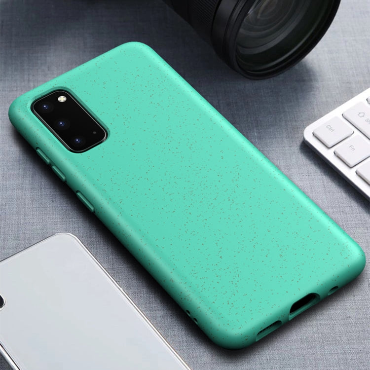 For Galaxy S20 Matted Texture Wheat Straw Protective Case