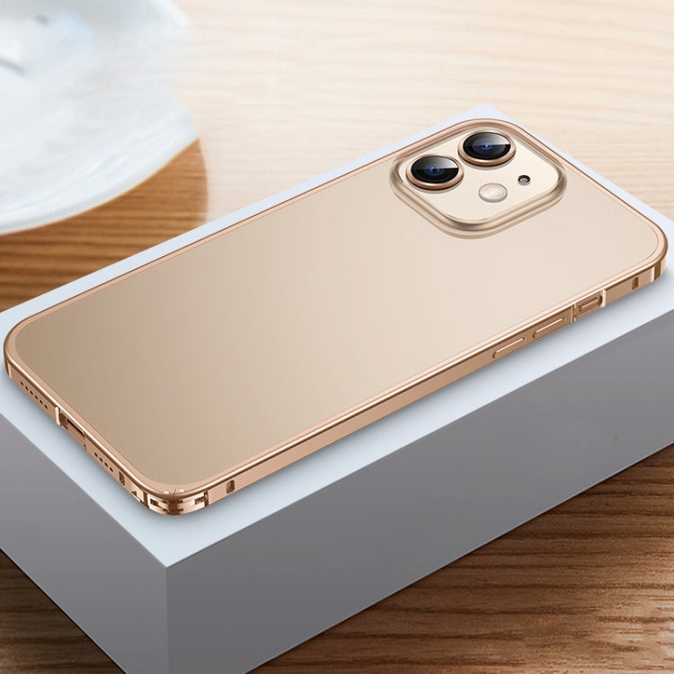 For iPhone 12 Frosted Phone Case with Lens Protection