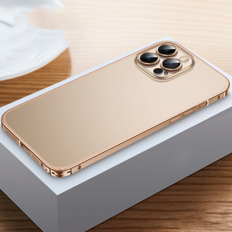 For iPhone 13 Pro Max Frosted Phone Case with Lens Protection