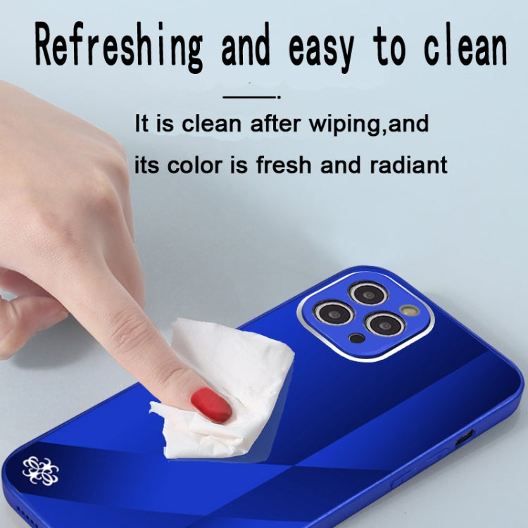 For iPhone 12 Pro Max X10A Texture TPU + Tempered Glass Phone Case