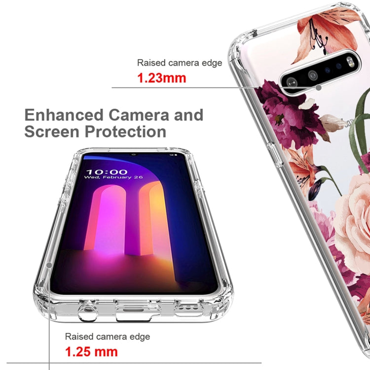For LG V60 ThinQ 5G PC+TPU Transparent Painted Phone Case