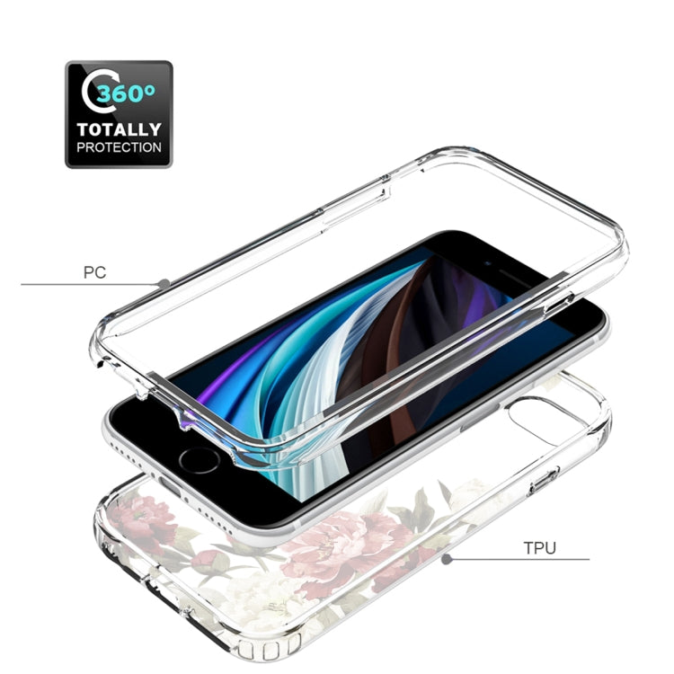 For iPhone SE 2022 / SE 2020 / 8 / 7 PC+TPU Transparent Painted Phone Case