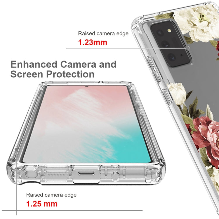 For Samsung Galaxy Note20 PC+TPU Transparent Painted Phone Case