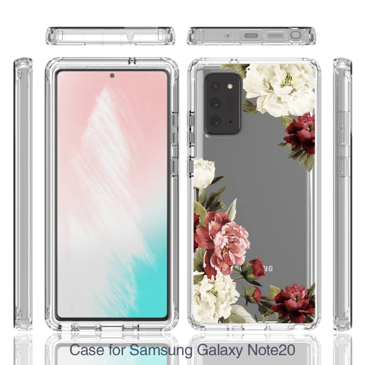 For Samsung Galaxy Note20 PC+TPU Transparent Painted Phone Case