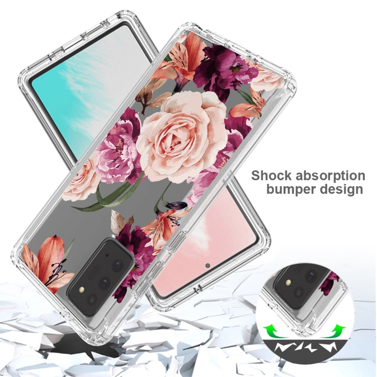 For Samsung Galaxy Note20 PC+TPU Transparent Painted Phone Case