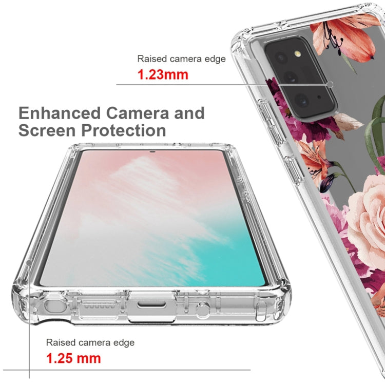 For Samsung Galaxy Note20 PC+TPU Transparent Painted Phone Case
